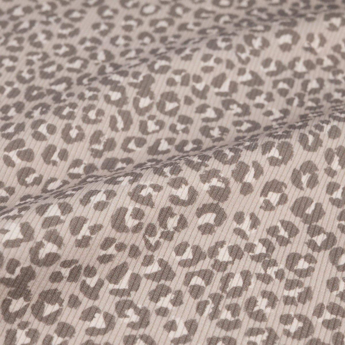 Rib Jersey Leo greige