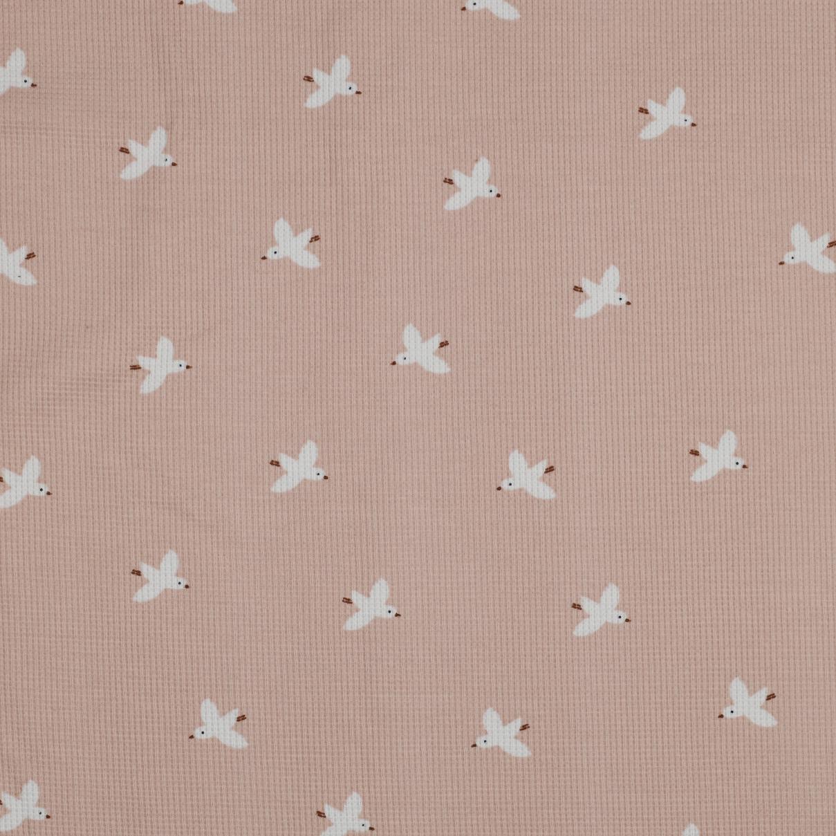 Waffelstrick Jersey Birds