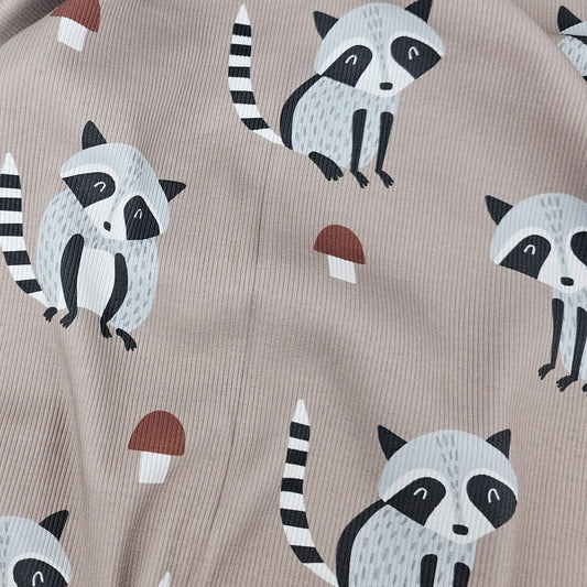 Rib Jersey Waschbär
