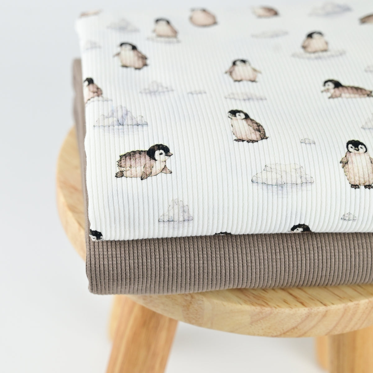 Rib Jersey Pinguine und Eisberge
