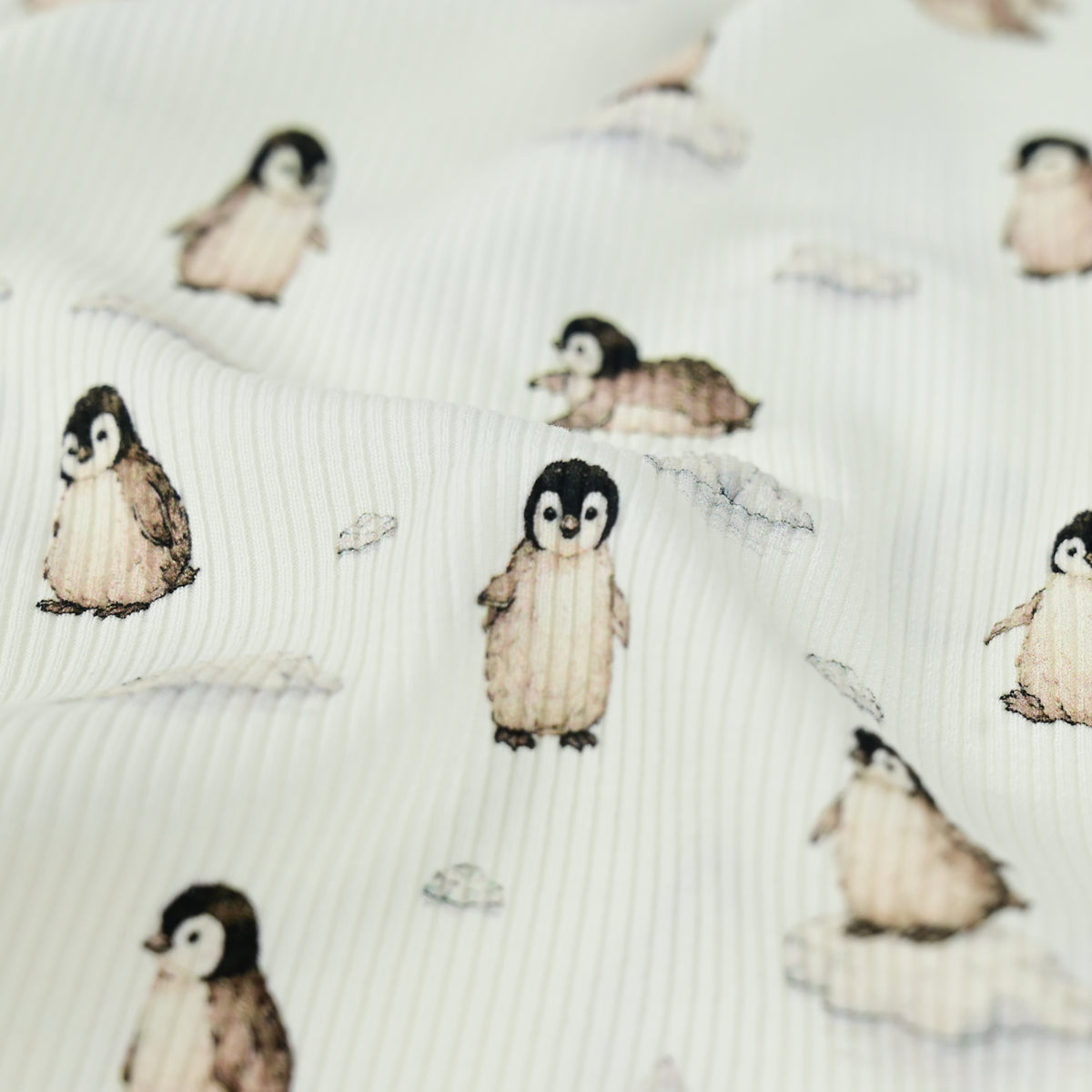 Rib Jersey Pinguine und Eisberge