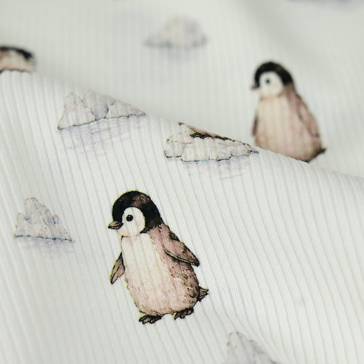 Rib Jersey Pinguine und Eisberge