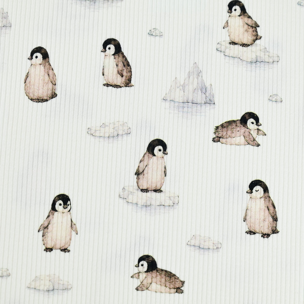 Rib Jersey Pinguine und Eisberge