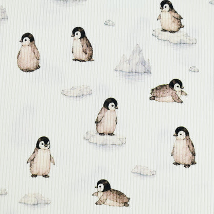 Rib Jersey Pinguine und Eisberge