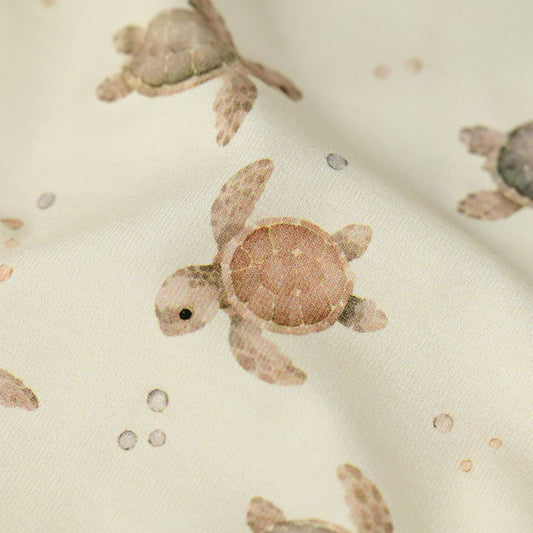 Jersey Schildkröte