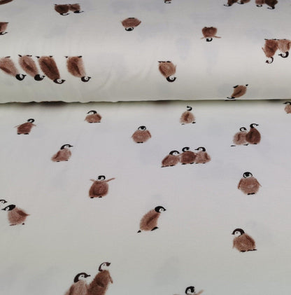 Jersey Pinguine - Family Fabrics - elli&else
