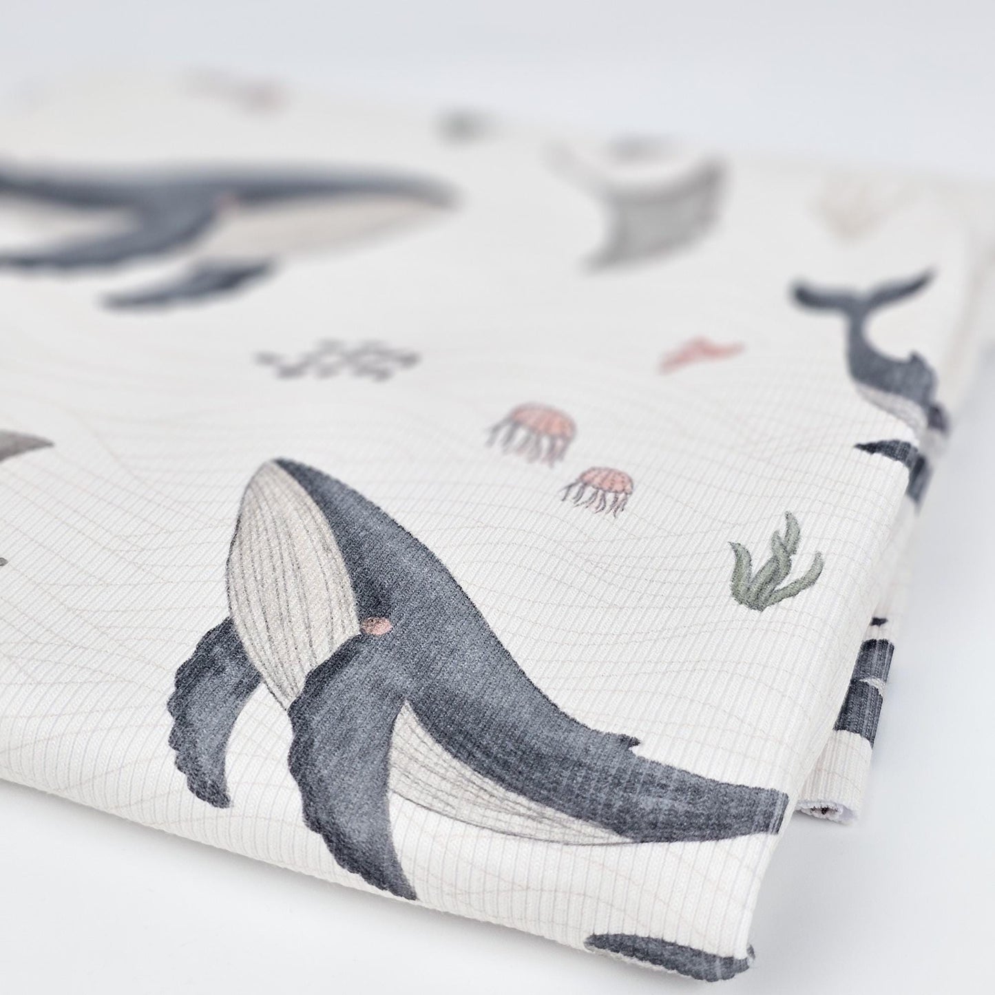 Rib Jersey Wale