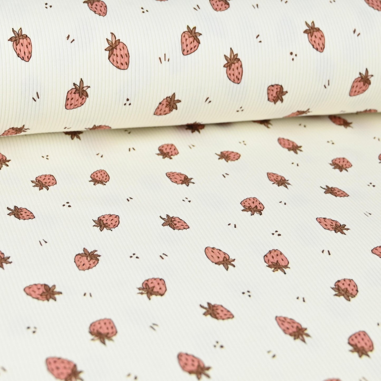 Rib Jersey Erdbeeren