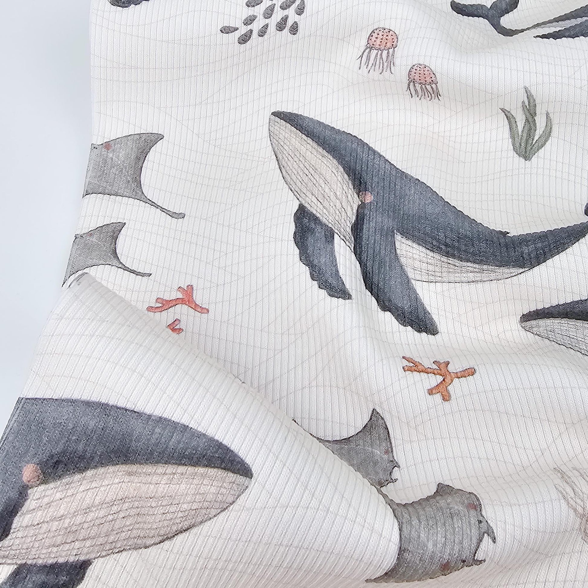 Rib Jersey Wale Meterware - elli&else