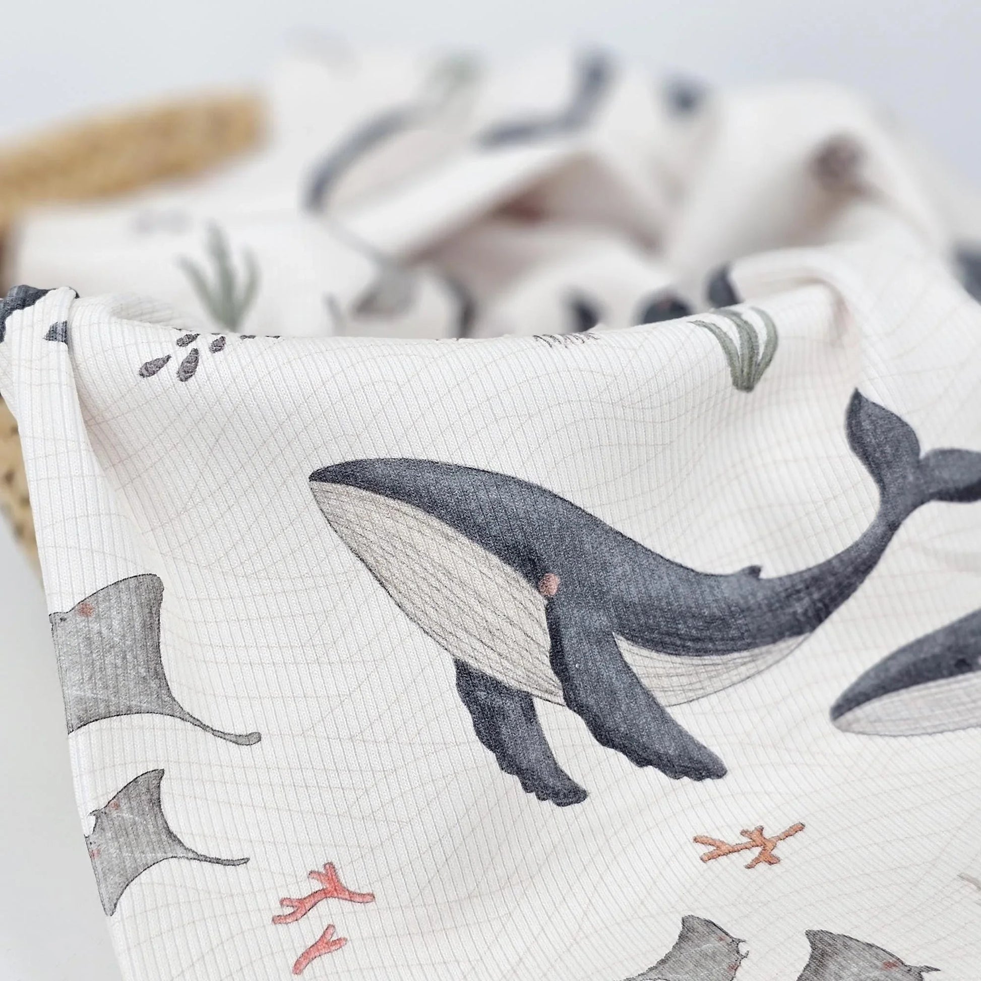 Rib Jersey Wale Meterware - elli&else