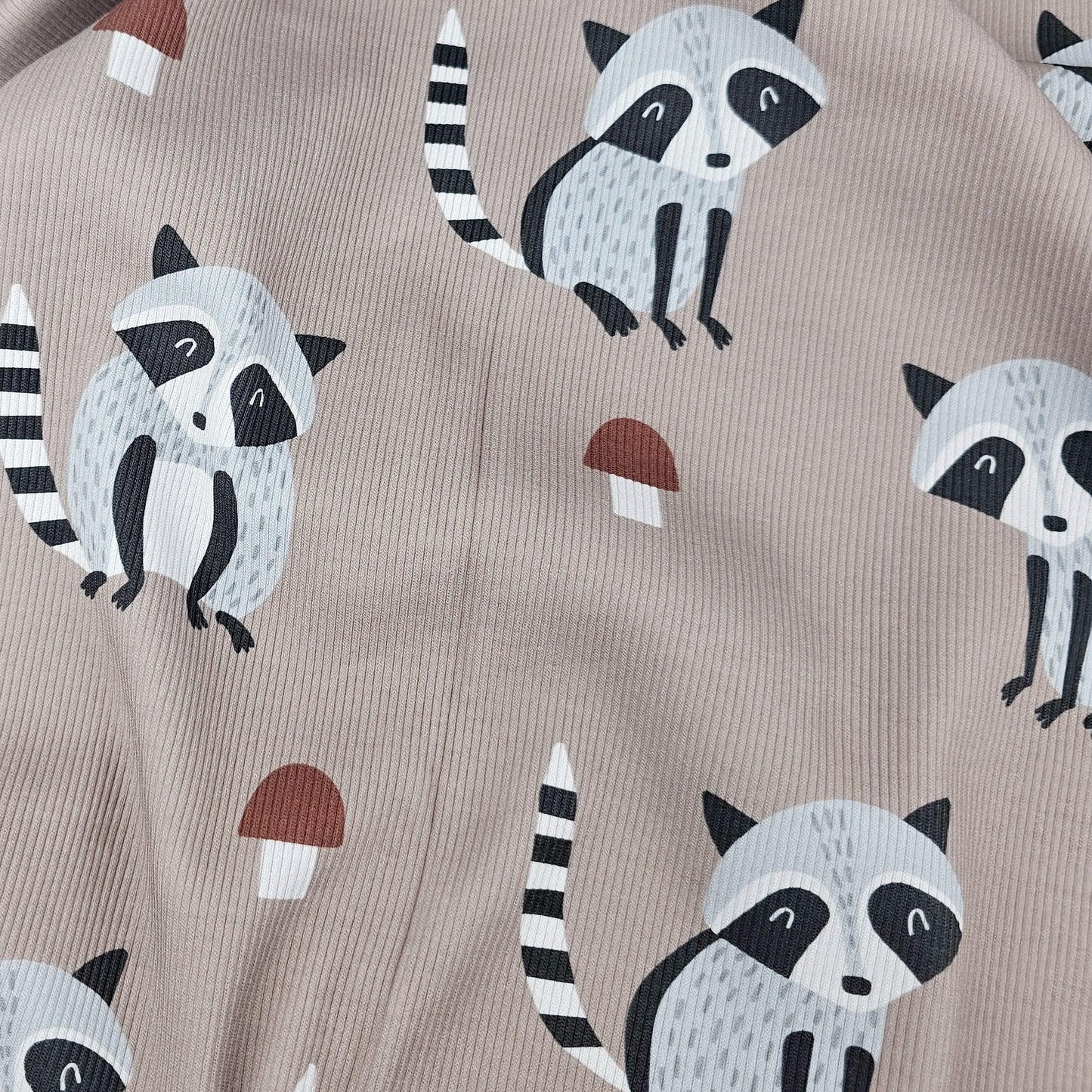 Rib Jersey Waschbär Meterware - elli&else